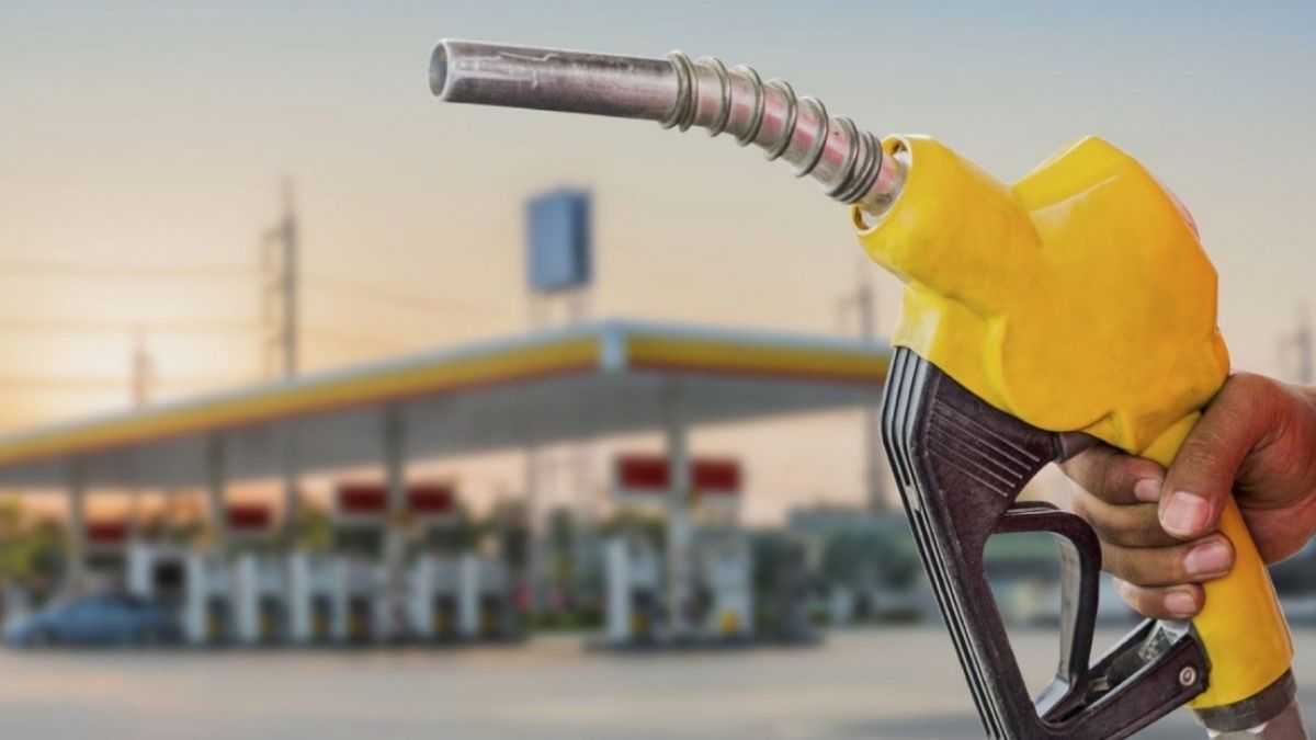 10 KW Jeneratör Saatte Kaç Litre Mazot Yakar